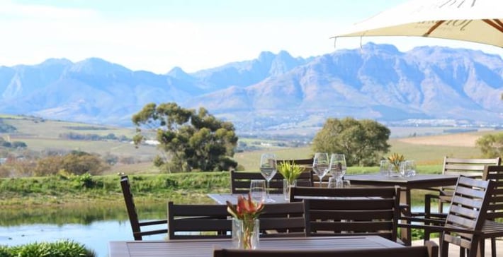 Top Wine Farms in South Africa